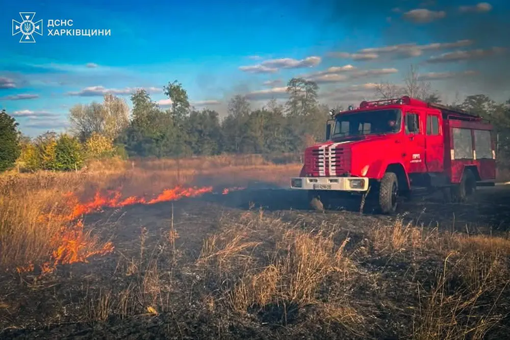 Протягом доби рятувальники ліквідували майже 30 пожеж в екосистемах Харківщини (фото)