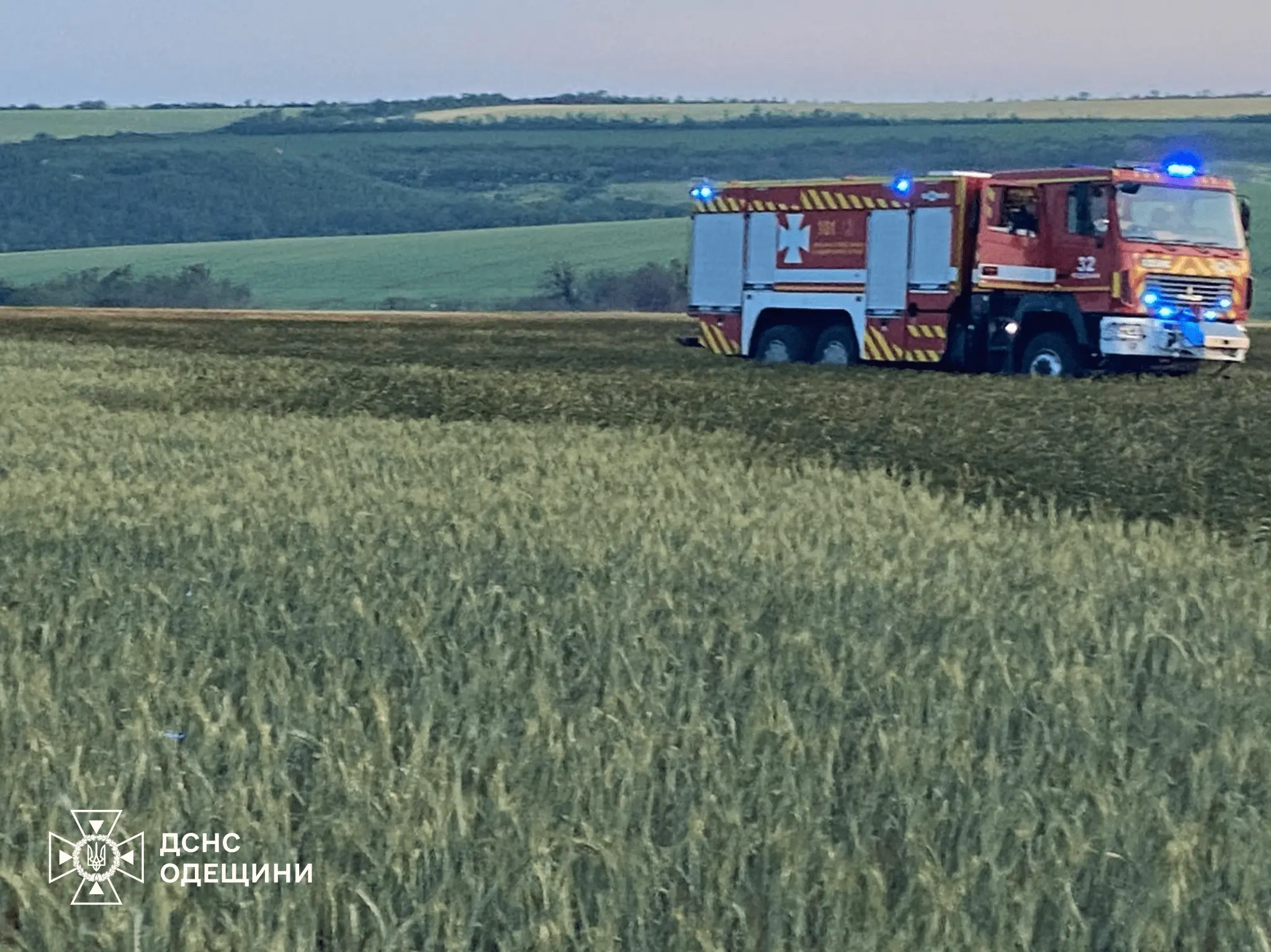 На Одещині гасили масштабну пожежу: горіло 2 га пшеничного поля
