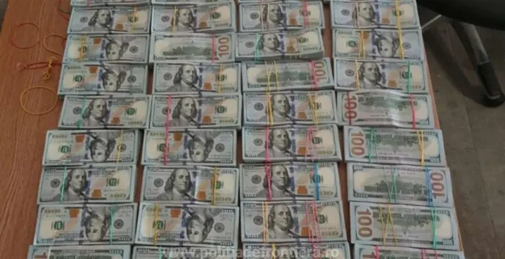 На кордоні затримали подружжя, які намагалися пронести 1,4 мільйони доларів в Румунію. Гроші вилучили