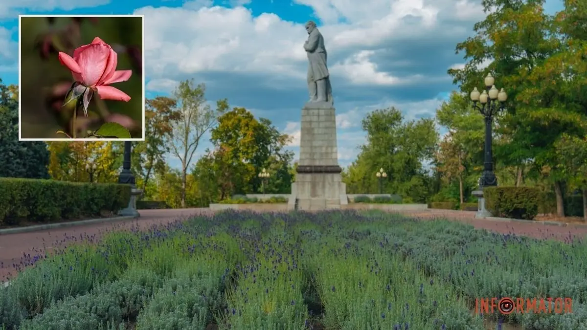 Погода на 20 вересня: у Дніпрі небо затягнуть хмари