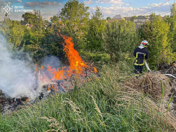 Горять сміттєзвалища та чагарники: на Буковині трапилось шість пожеж