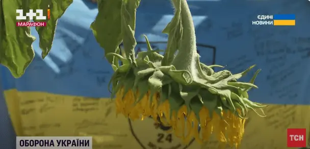 Чому 29 серпня — особлива дата: історія пам’яті, що почалася з Іловайської трагедії