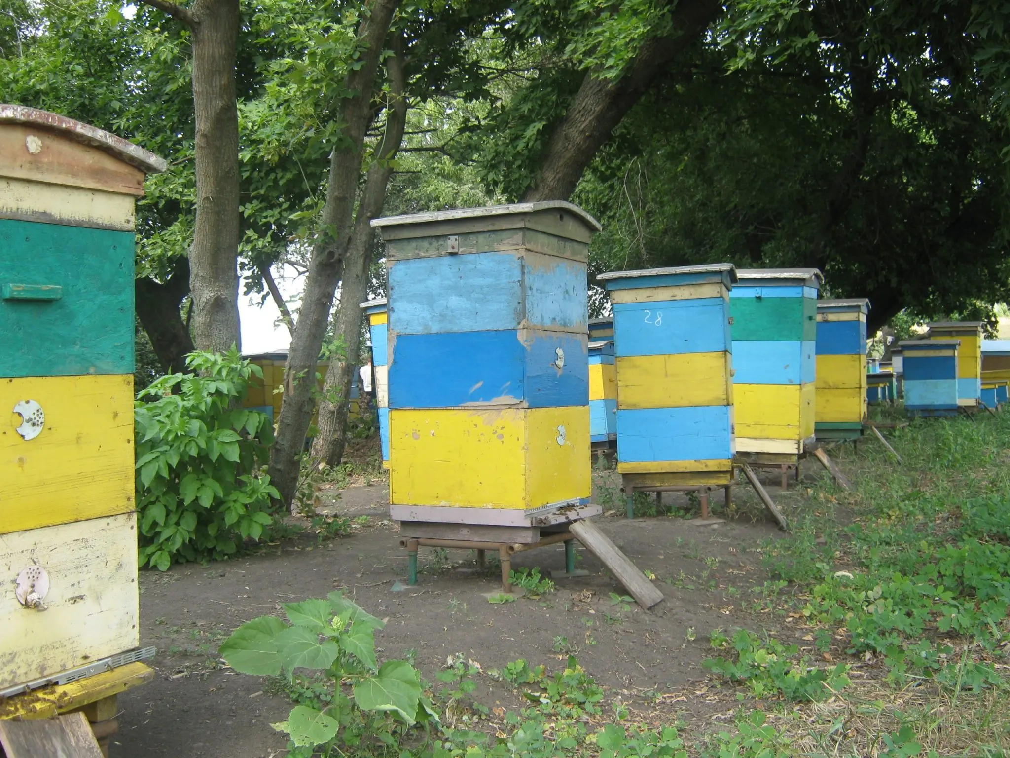Росіяни чавили харківські вулики гусеницями танків і БТРів