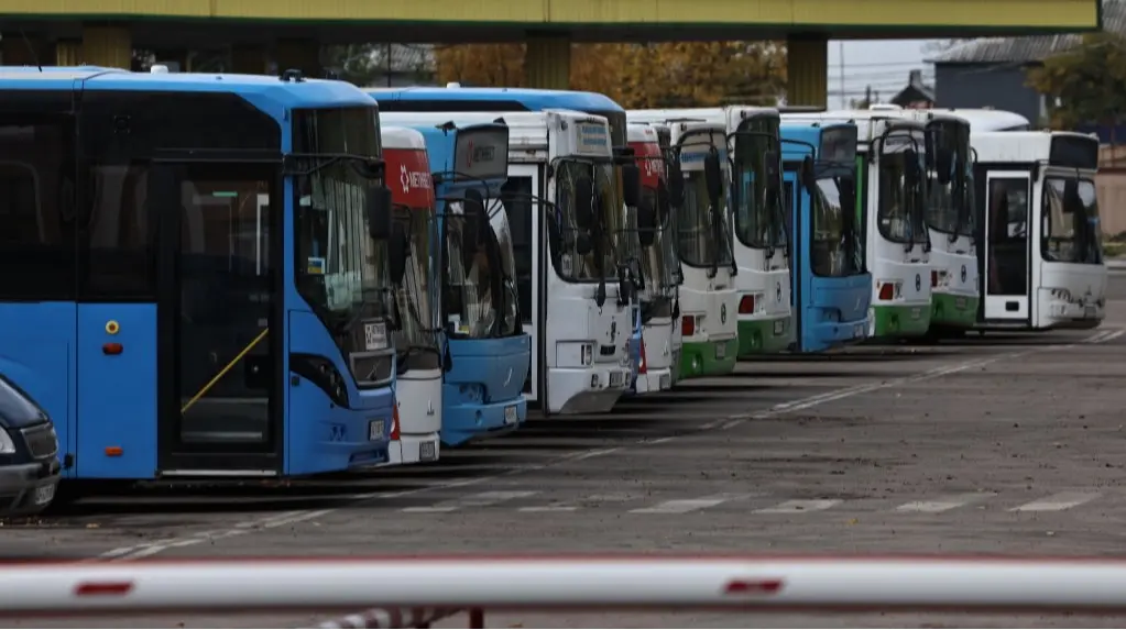  В Україні впала видача автобусних ліцензій: в Укртрансбезпеці назвали причини 