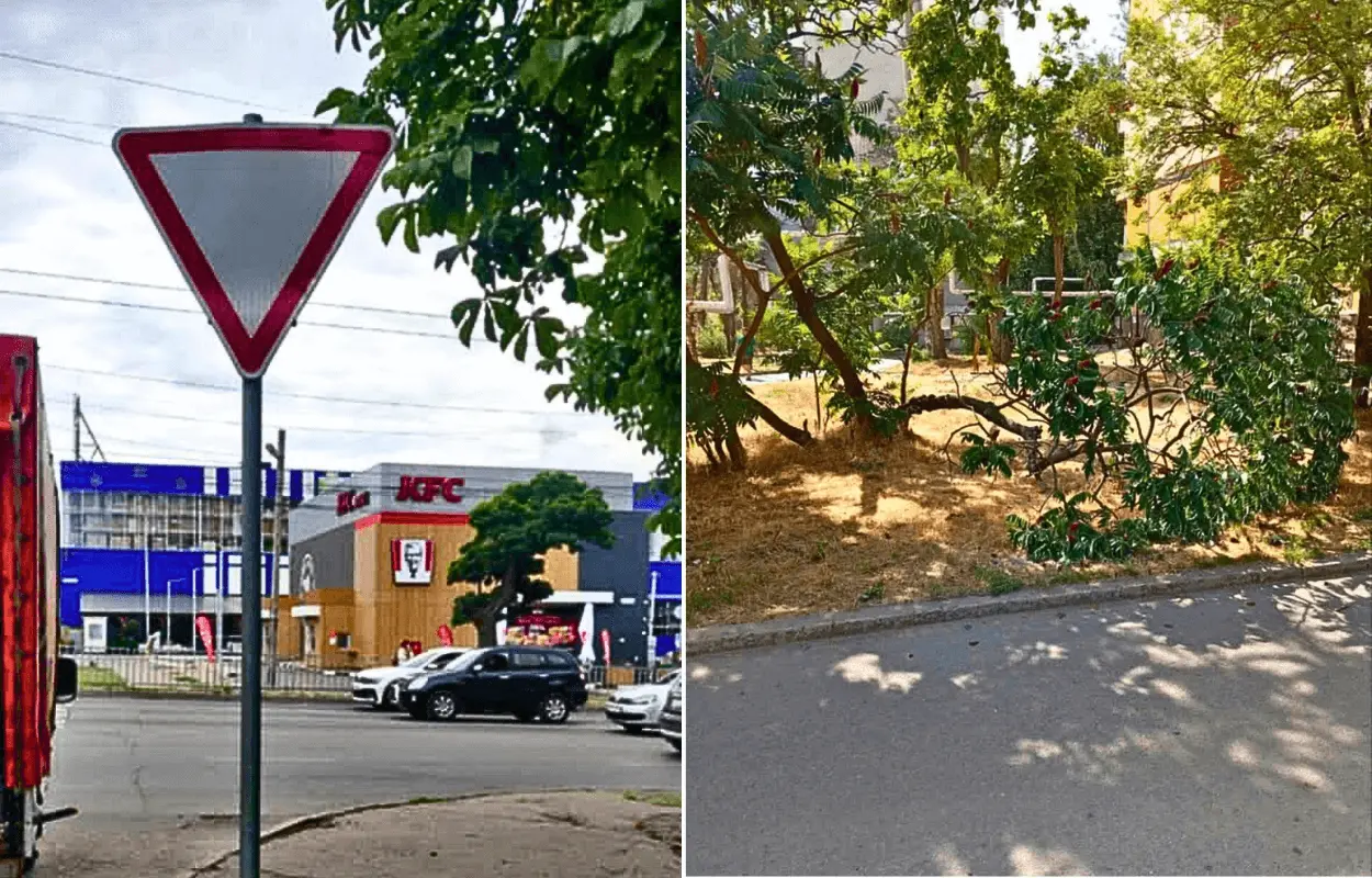 У Дніпрі продовжують видаляти аварійні дерева та укріплювати дорожні знаки за заявками містян
