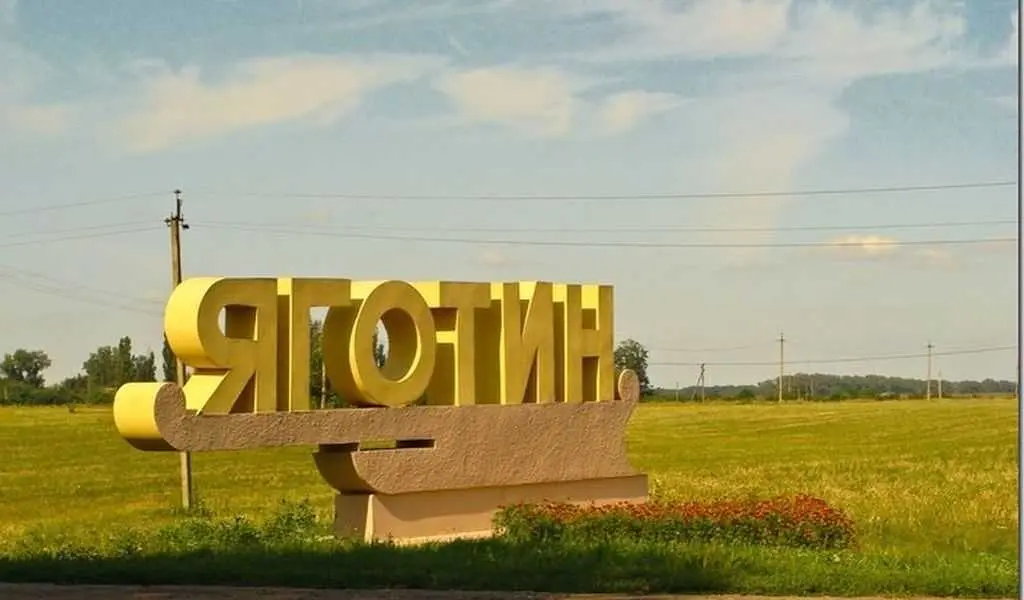 Бібліотекарі Яготинщини скаржаться на відсутність оргтехніки та української літератури