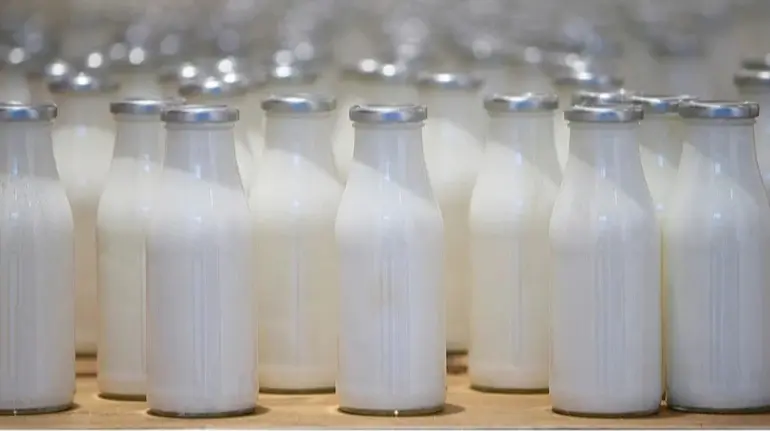 Україна скоротила імпорт молочних продуктів