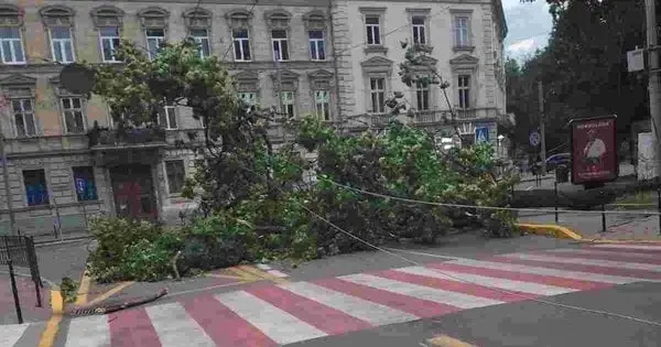 У Львові очікується буревій, містян закликають бути обережними