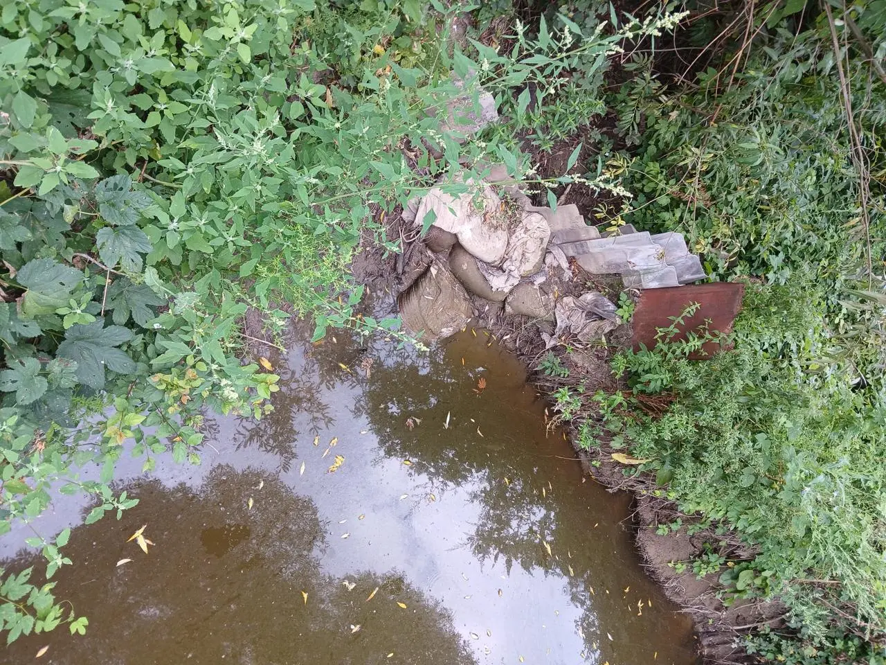 Самовільно перекрили русло річки на Одещині: порушників оштрафували