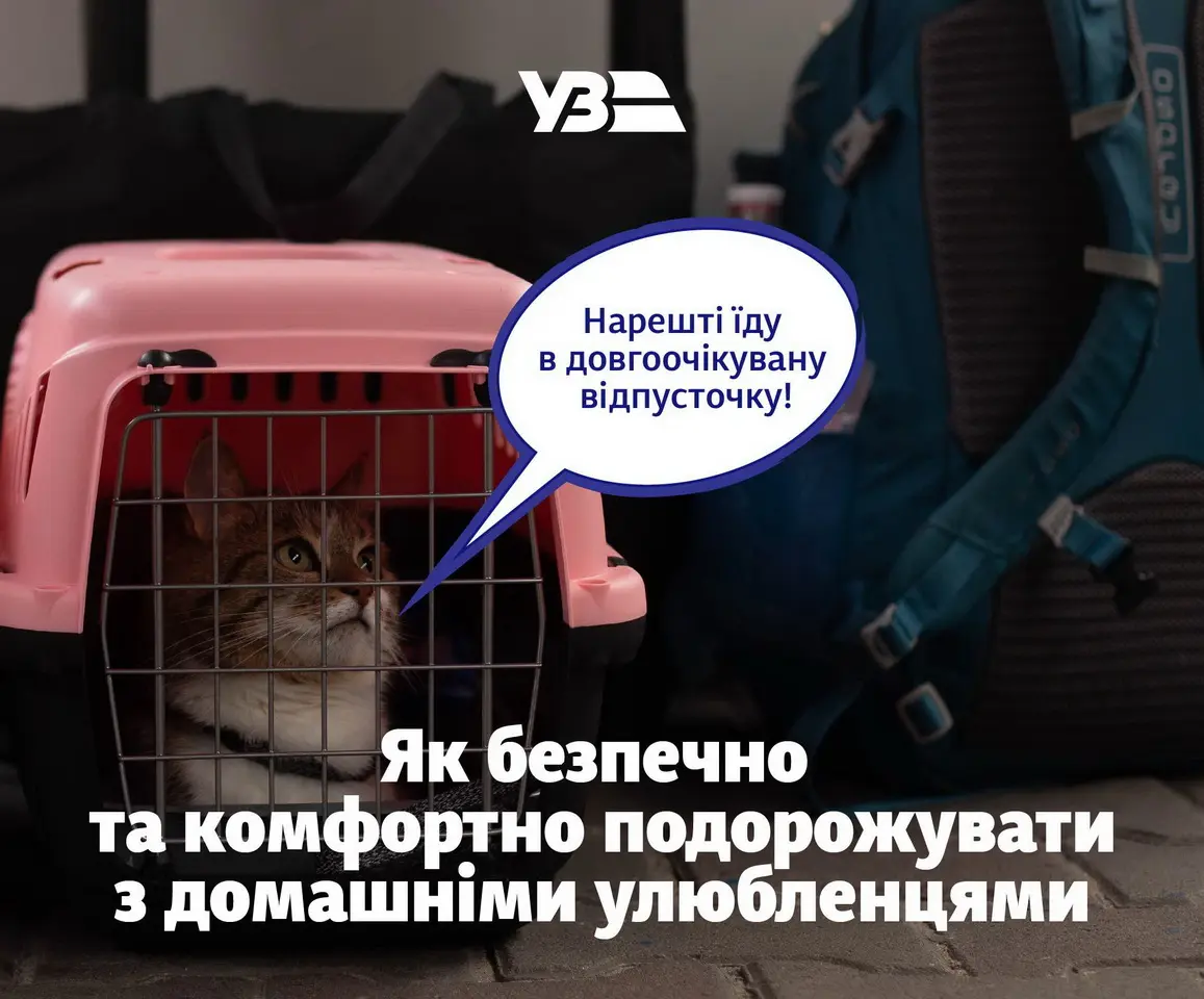 Укрзалізниця оновила правила перевезення домашніх тварин: що варто знати