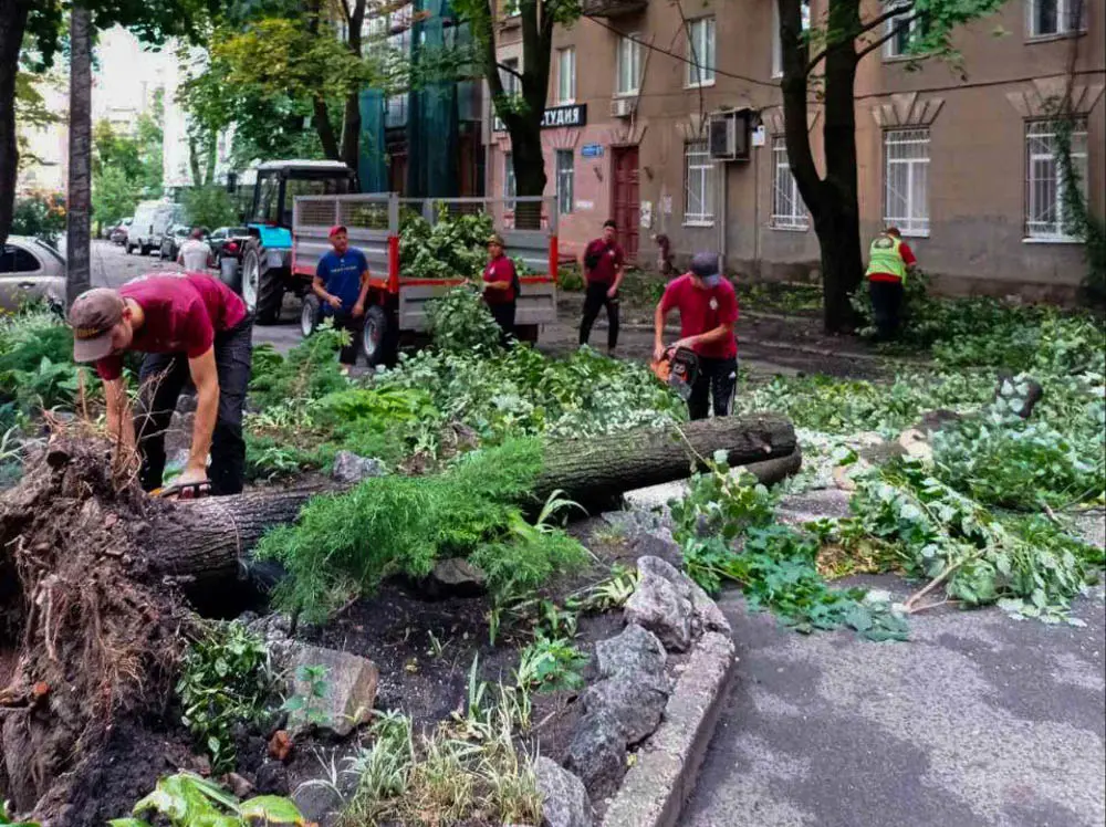 Негода в Харкові: пошкоджено 140 покрівель будинків та повалено 448 дерев.