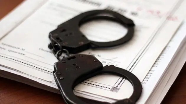 Суд заочно заарештував постачальницю"золотих яєць" Міноборони