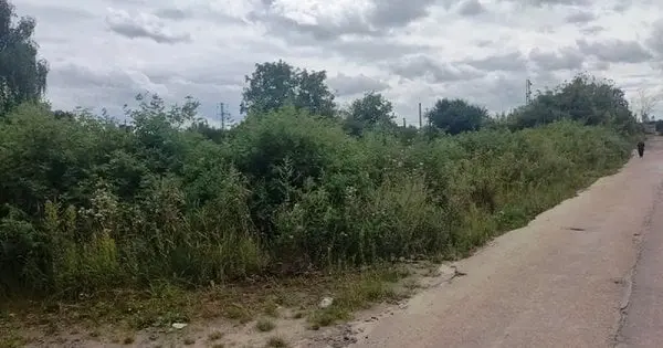 Міська рада продала ділянку під СТО на Рясному за 12 млн грн