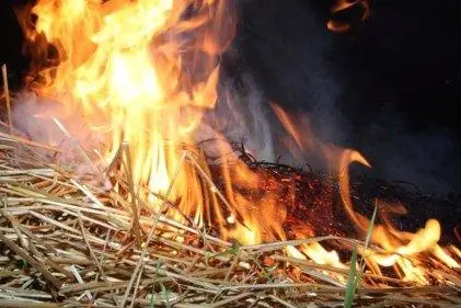 Мешканка Одещини отримала опіки при спробі самостійно загасити палаюче сіно