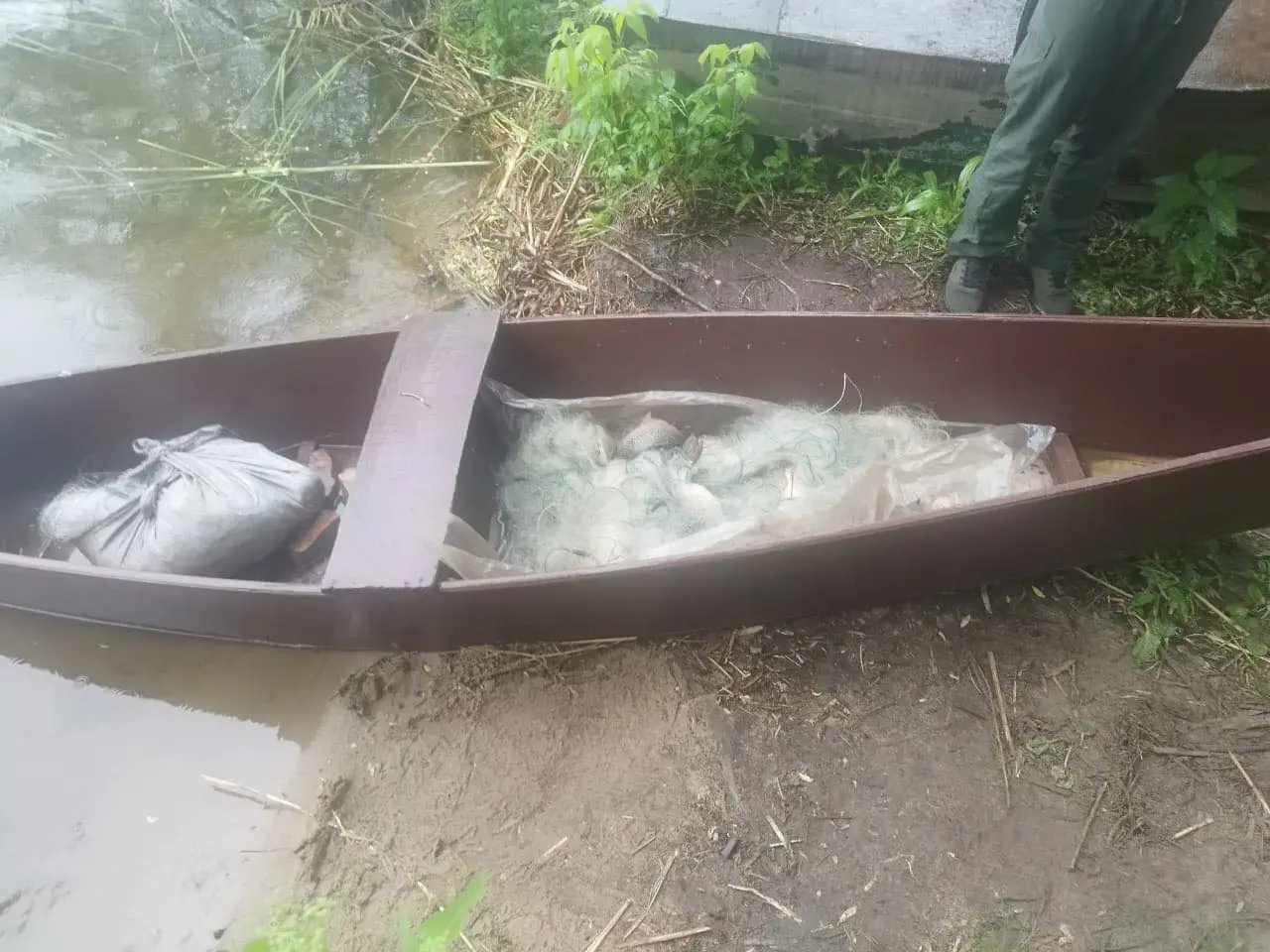 З Південного Бугу на Вінниччині чоловік сіткою виловив 21 кілограм риби