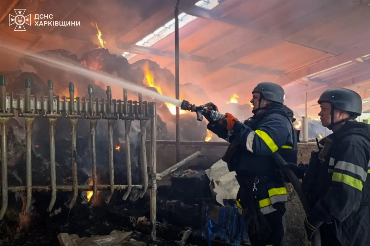 Двоє поранених і вбиті корови – росіяни КАБом вдарили по фермі на Харківщині
