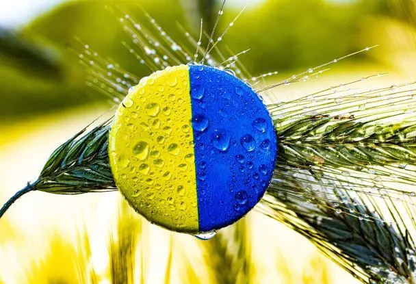 ЄС припинив торговельний безвіз з Україною: що це означає та як вплине на економіку