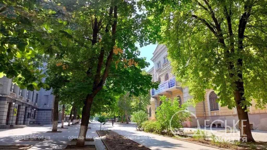 Вересень по-одеськи: сонце, тіні та надія (фоторепортаж)