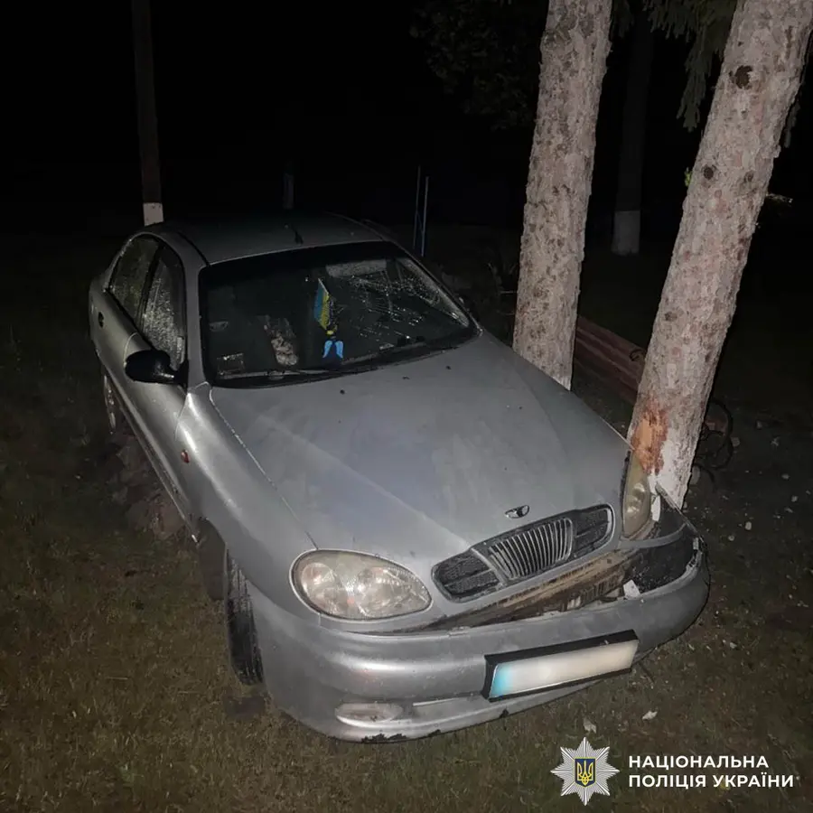 На Вінниччині легковик в’їхав у дерево, пасажири в лікарні, а водій втік