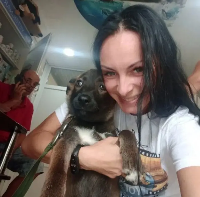 Собака «Джессі», врятована на війні, не пережила ракетну атаку на Чернівці