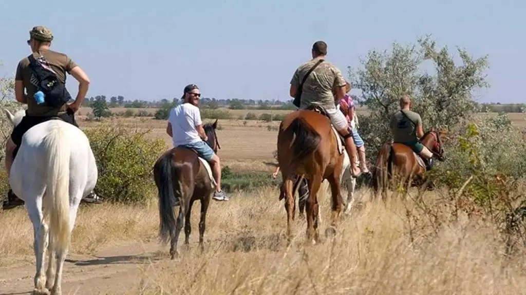 На Одещині військові проходять реабілітацію з конями та дельфінами