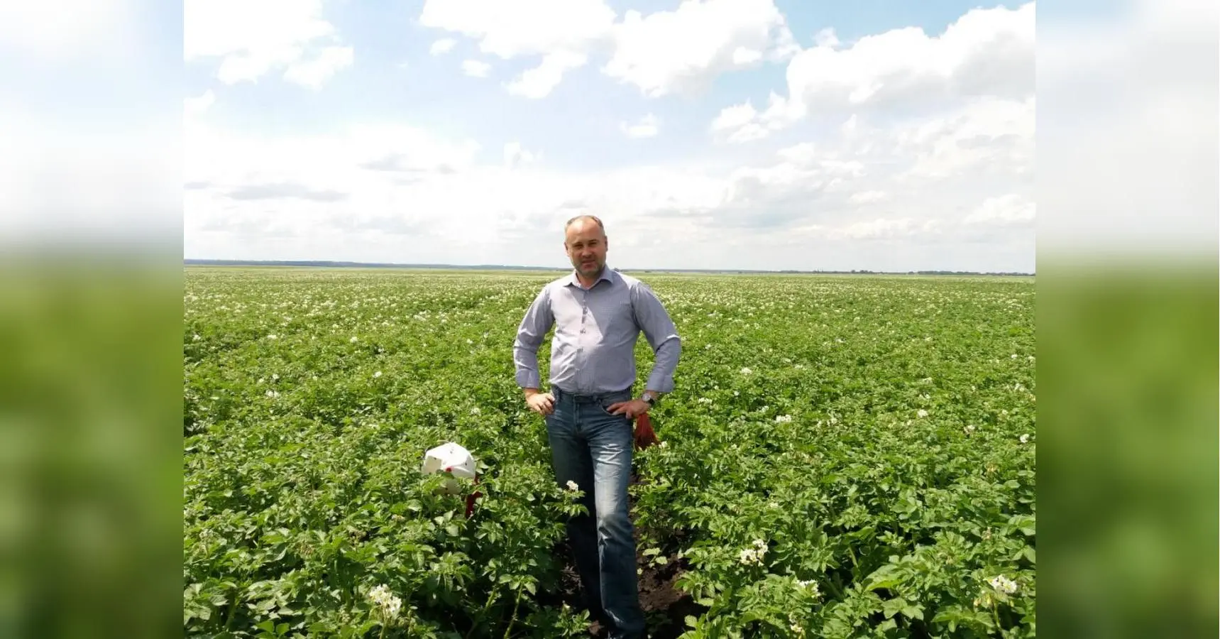 Чому ціни на молоду українську картоплю вдвічі вищі, аніж на завезену з Єгипту: роз’яснення фахівця