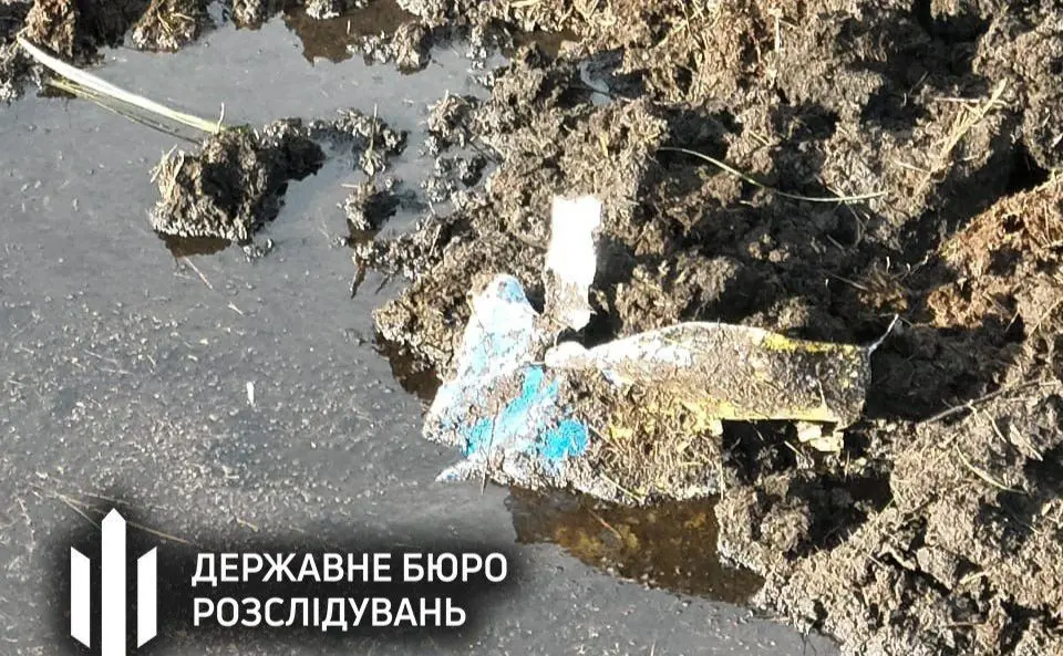 Упав і потонув у болоті: ДБР розслідує падіння винищувача Mirage-2000