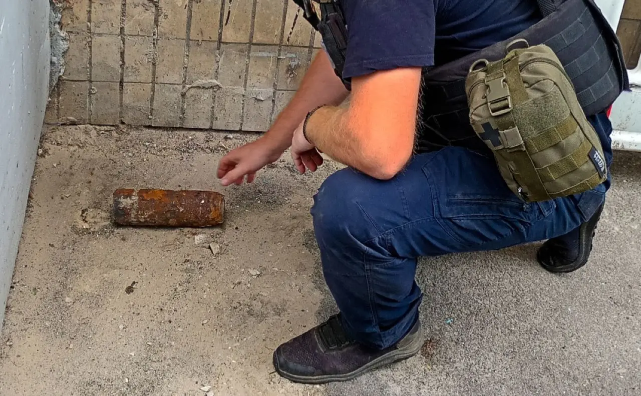 Піротехніки ДСНС вилучили дві гранати в Ірпені та артилерійський снаряд в Києві