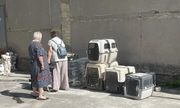 Евакуйованих з-під Покровська жінок із тваринами виганяють із села на Вінниччині