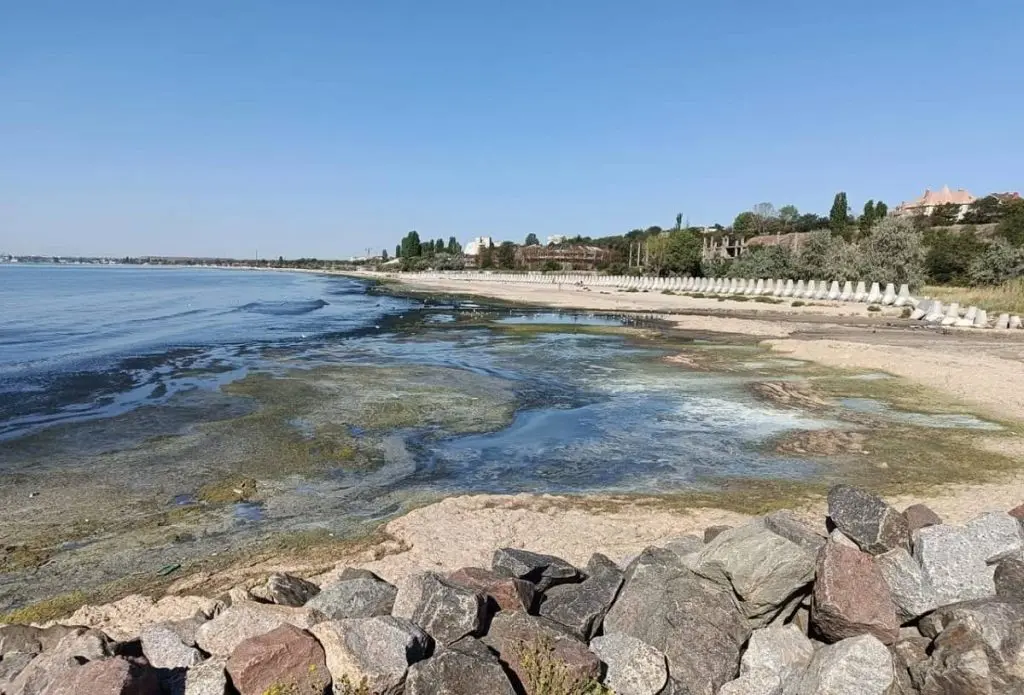 Біля берегів Одеси почорніло море – екологи розкрили тривожну причину