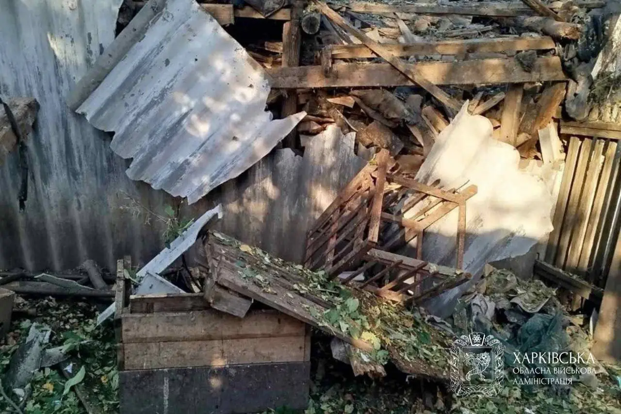 Чим били росіяни та що зруйновано на Харківщині, повідомив Синєгубов