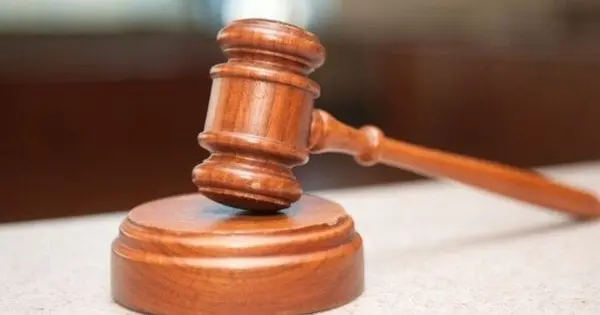Суд оштрафував закарпатця за побиття коня у Буковелі