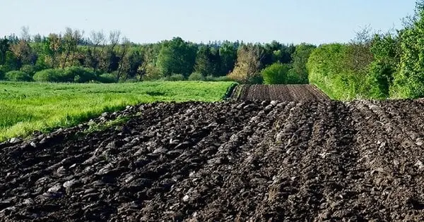Суд позбавив львівського підприємця 29 га землі біля Буська через нецільове використання