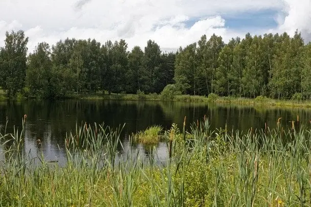 Спека поступово відступає - прогноз на 3 серпня