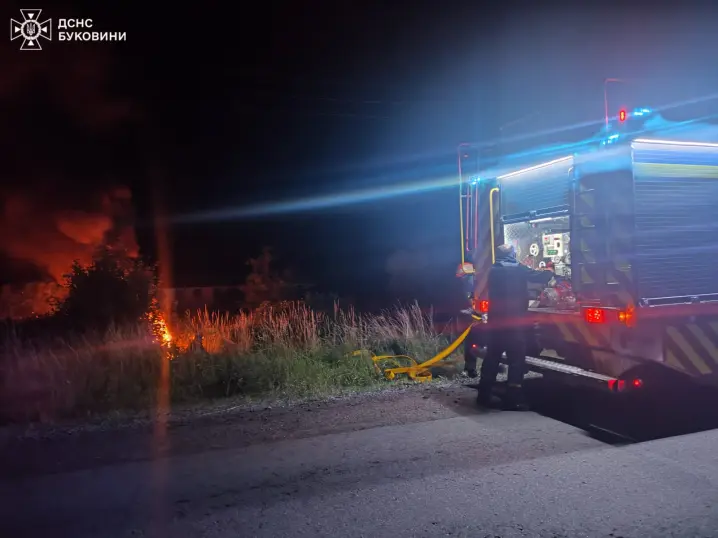 Неподалік Хотина водій вистрибнув з палаючого BMW X5. Авто з'їхало на узбіччя дороги