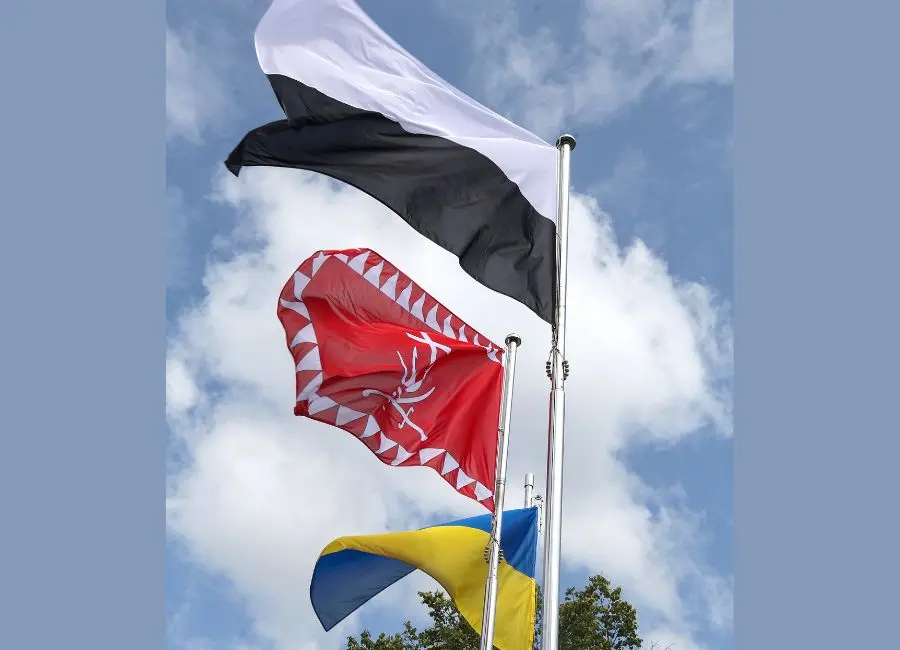 У Вінниці підняли Прапор Надії
