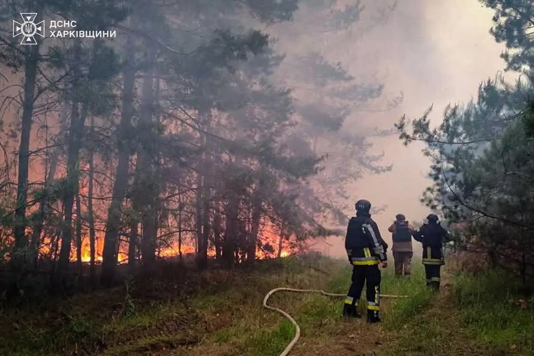 Горять ліси: на Харківщині гасять сім пожеж