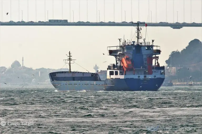 В Одесской области в Черном море поврежден сухогруз – сдетонировало неизвестное устройство