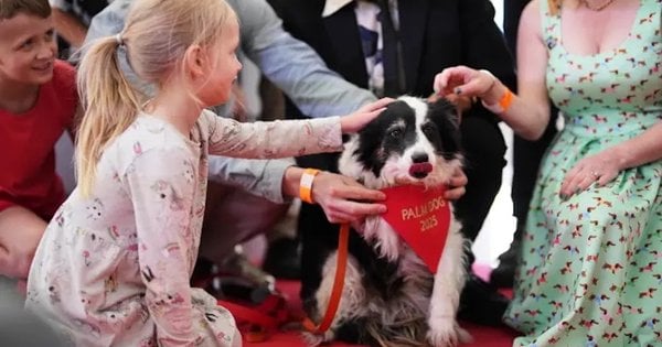 У Каннах найкращим собакам-акторам вручили Palme Dog