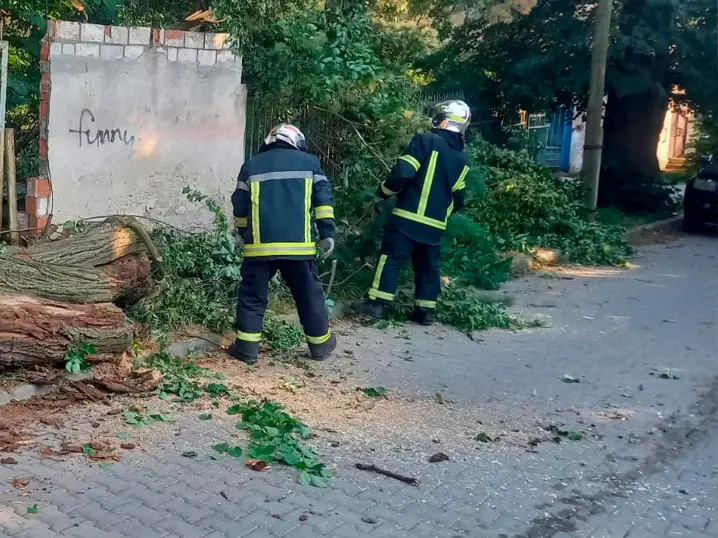 У Чернівцях та області рятувальники прибирали з дороги повалені дерева