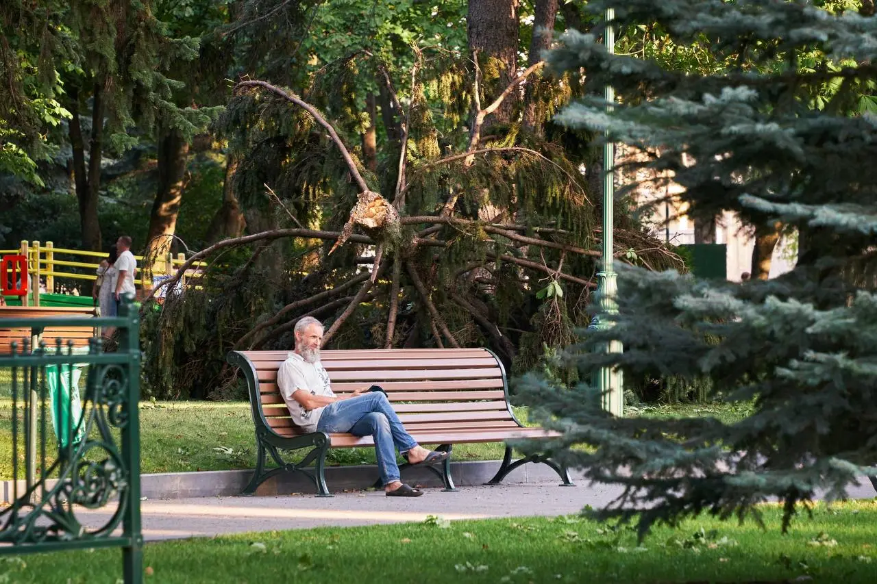 Пів місяця в Харкові усували наслідки урагану – Терехов (фото)