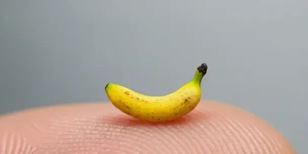 Чому застосунок Gemini Nano Banana став таким популярним 2025 року, для чого він створений, його переваги