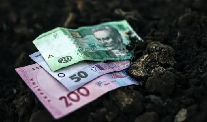 Сторожинецька громада відсудила у підприємця понад 1,4 млн грн за землю