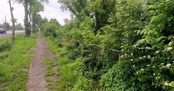 Львівська фірма збудує в Городку ТРЦ з кінотеатром та укриттям