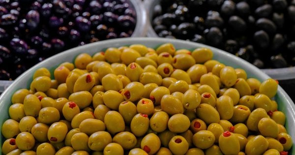У чому різниця між оливками та маслинами: справа не тільки в кольорі