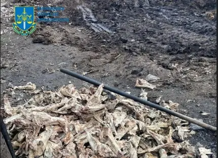На Вінниччині керівник філії з спільниками «закидали» залишками тварин 2 гектари землі