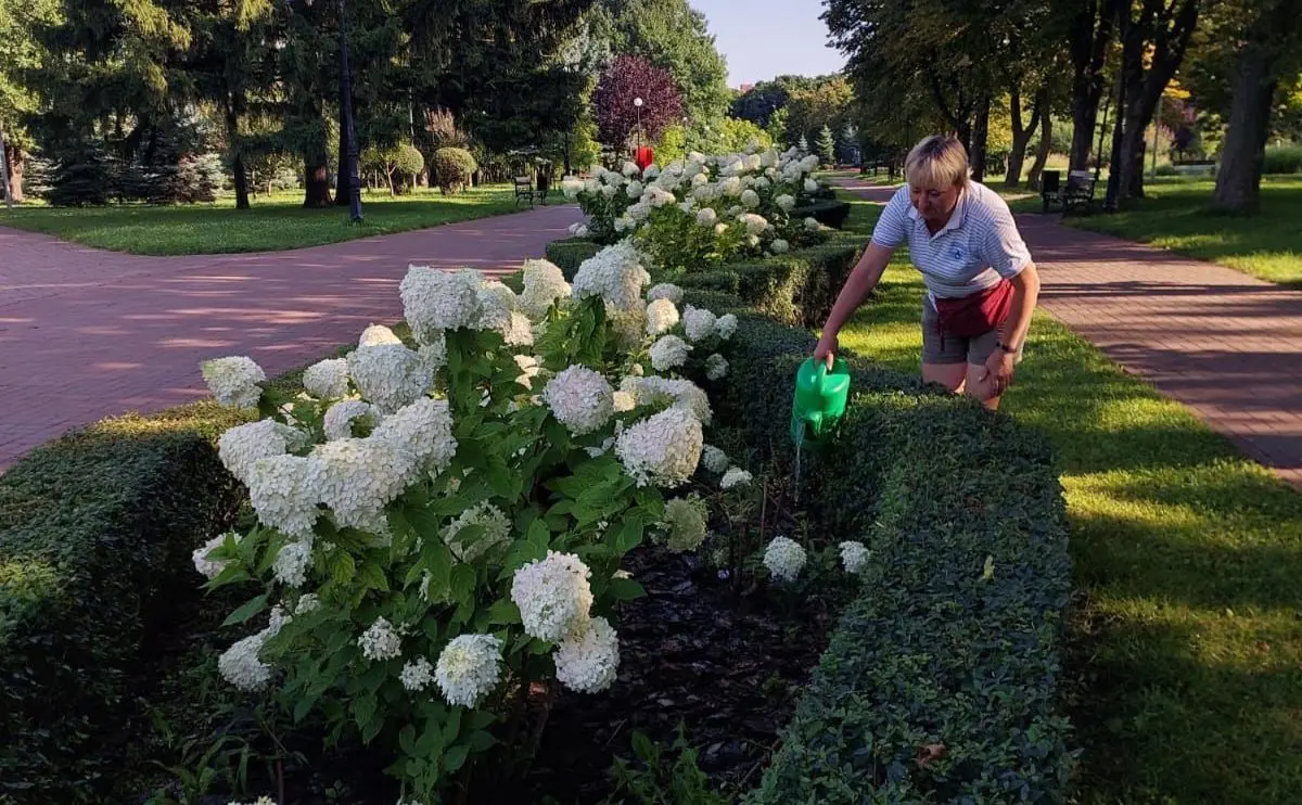 Погода на 28 серпня у Києві: тепло та без опадів