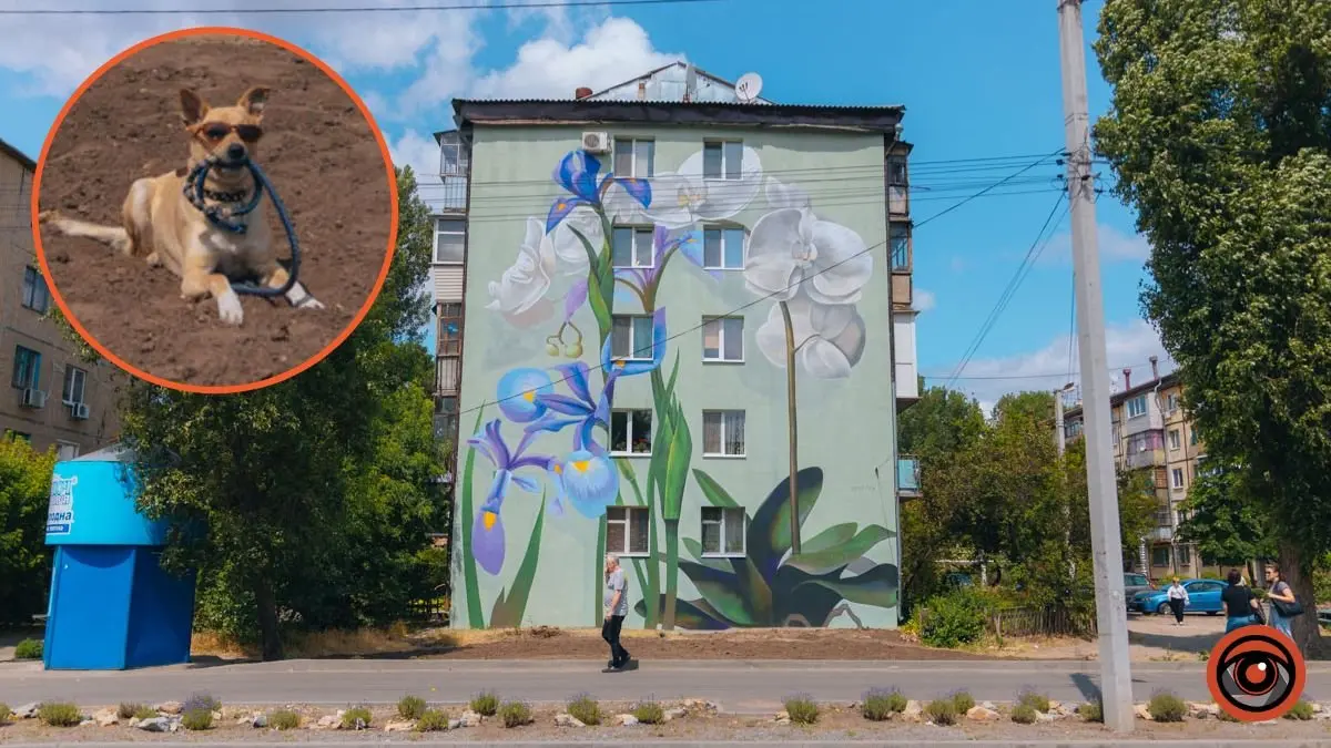 У Дніпрі на вулиці Квітки Цісик ще один будинок прикрашає мурал