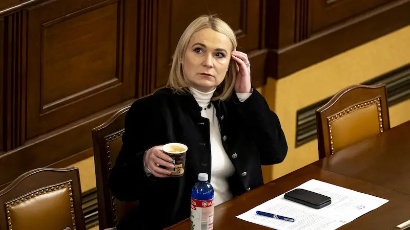 Міністерка оборони Чехії потрапила в ДТП