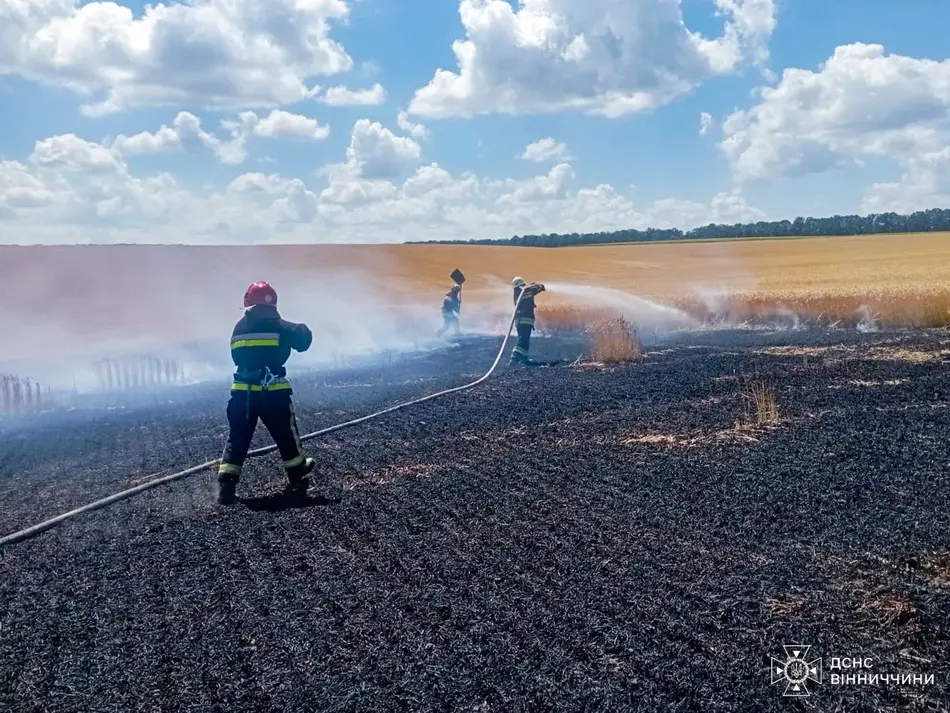 На Вінниччині горіло пшеничне поле, знищено 2 гектари нового врожаю